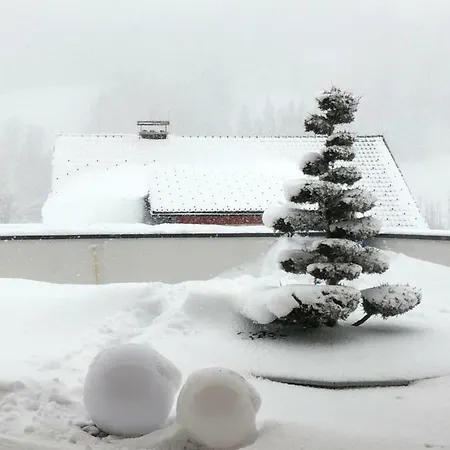 Sun * Schladming